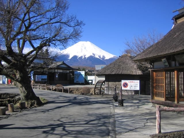 Collaboration of Historical Architecture and Majestic Mt. Fuji