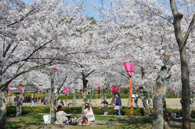 Settsu Gorge Park