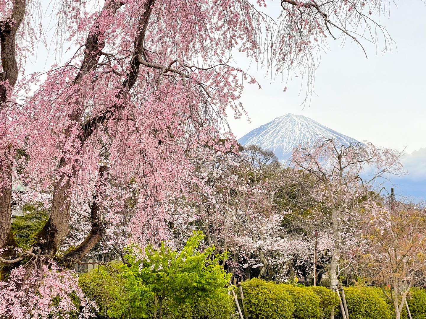 Fujisan Hongu Sengen Shrine