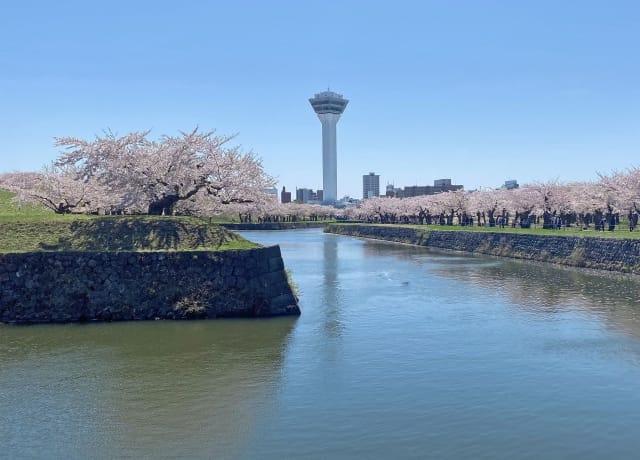 Goryokaku's Natural Scenery That Changes with the Seasons