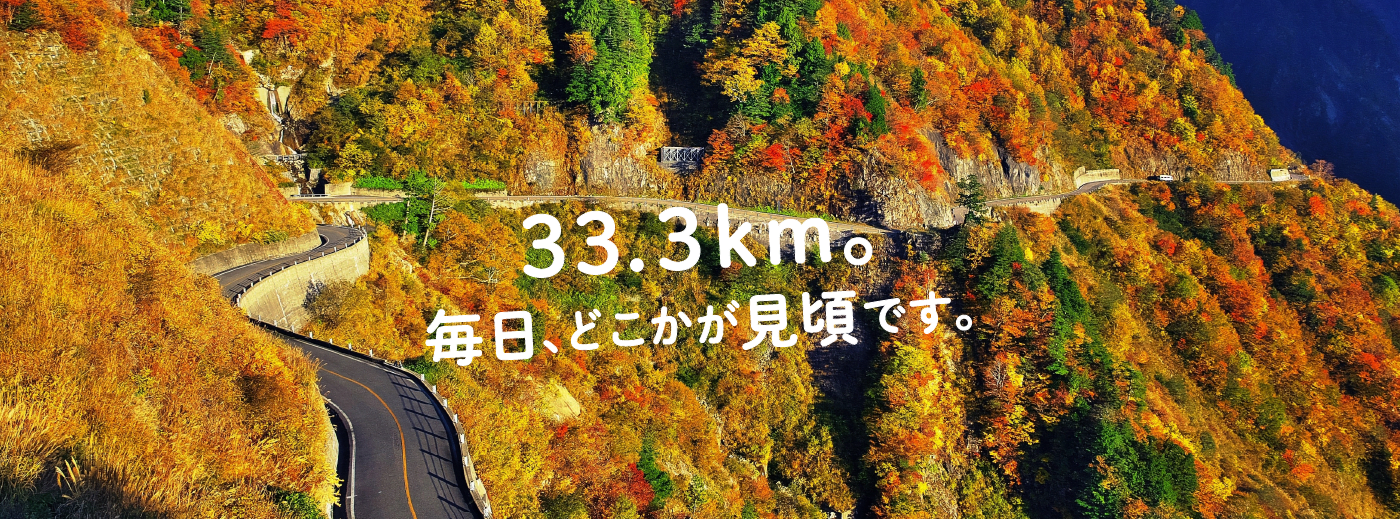 Hakusan Shirakawago White Road