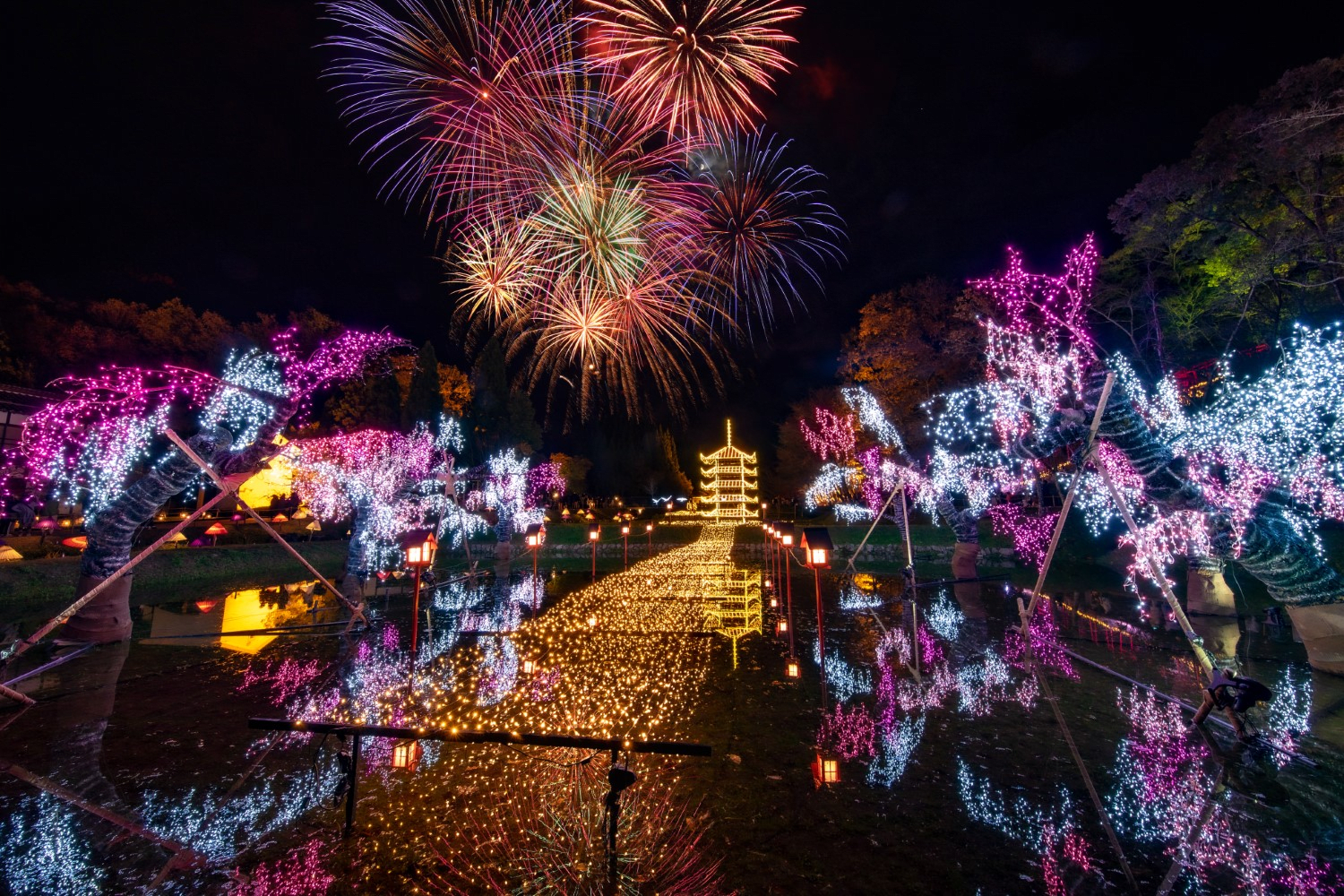 National Bihoku Hillside Park Winter Illumination