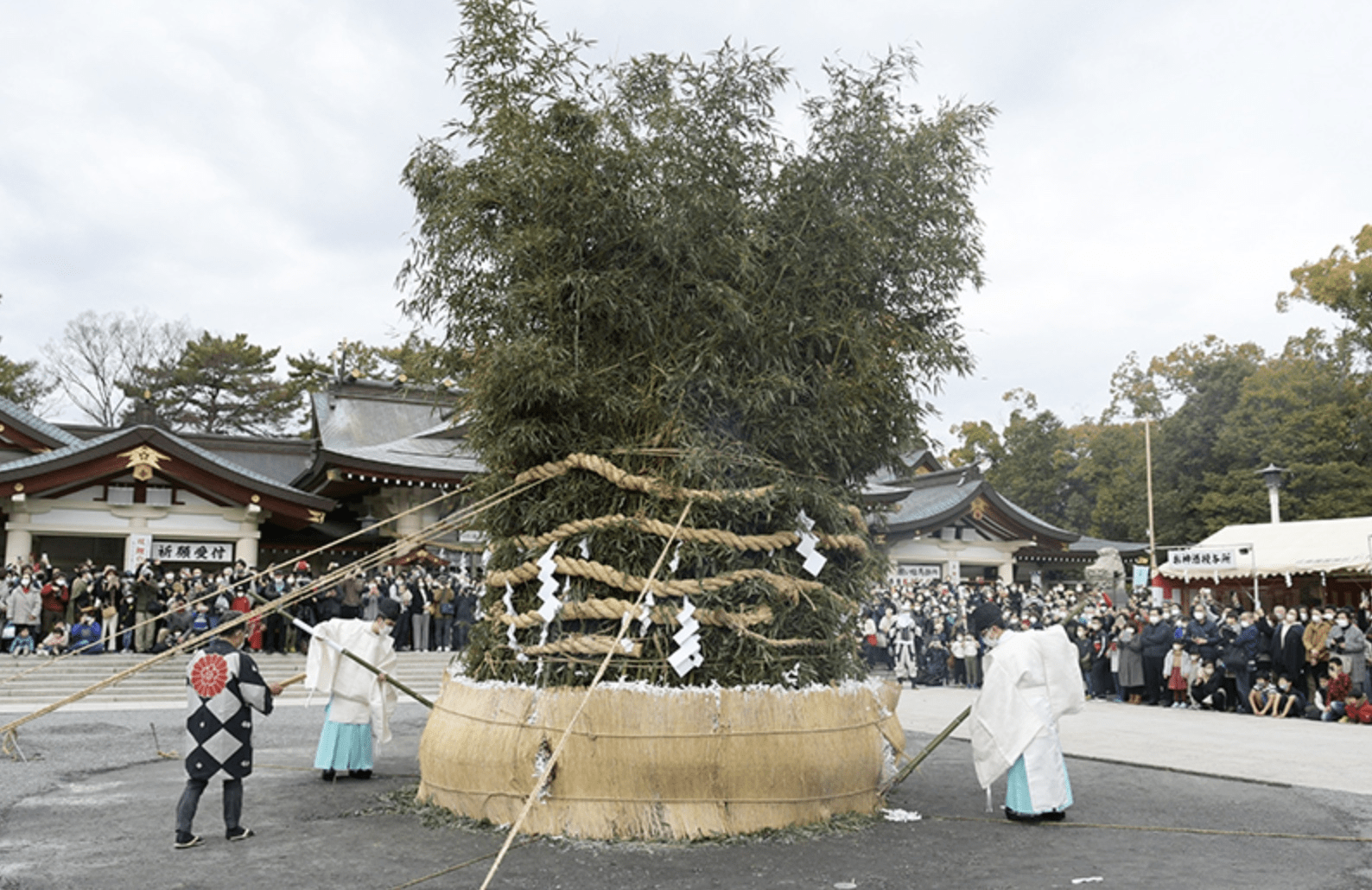 Hiroshima Gokoku Shrine Tondo Festival