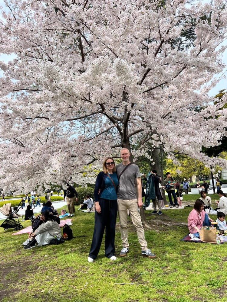 Late March to Early April: Explore Hiroshima's Must-See Attractions and Cherry Blossom Spots with a Local Guide