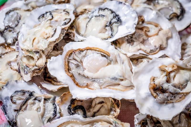 Hiroshima Castle Oyster Fest