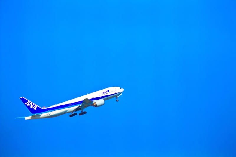 Access by Airplane