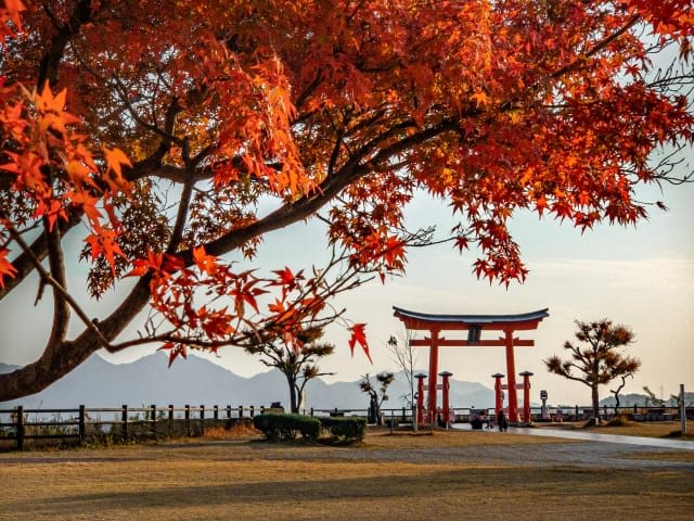 Autumn in Hiroshima (September - November)