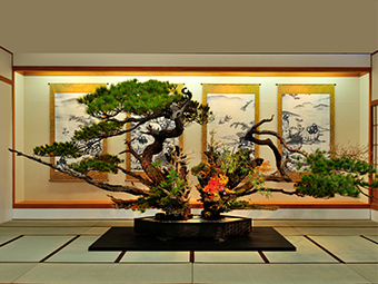 Ikenobo Ikebana