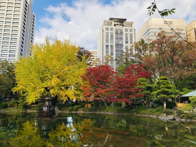 In Late November, You Can Also Enjoy the Beautiful Park at Hibiya Park