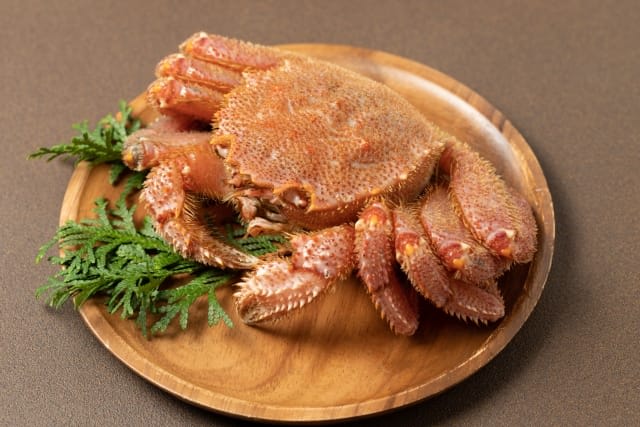 Ingredients to Enjoy at Omicho Market During Kanazawa Winter
