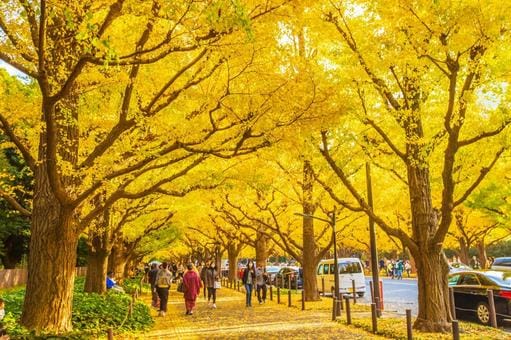 Jingu Gaien