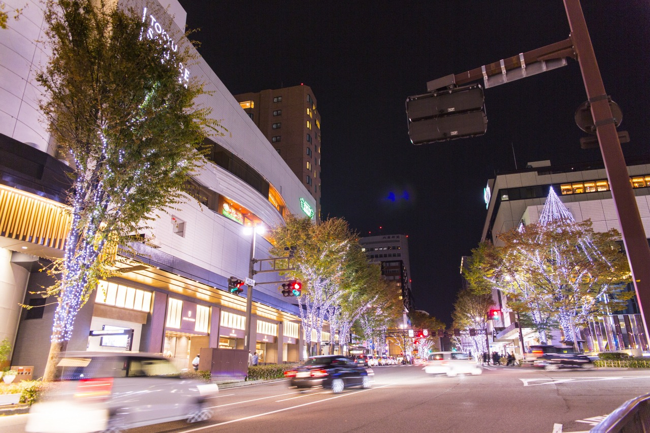 Kohrinbo District Tree Fantasy