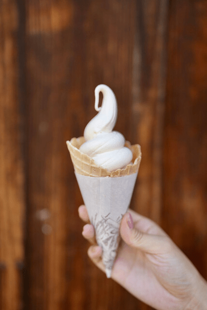 Rich Soft Serve Ice Cream