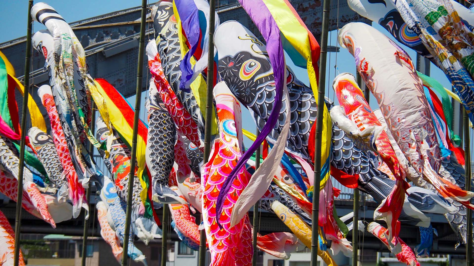 Koinobori Festival (Numazu)