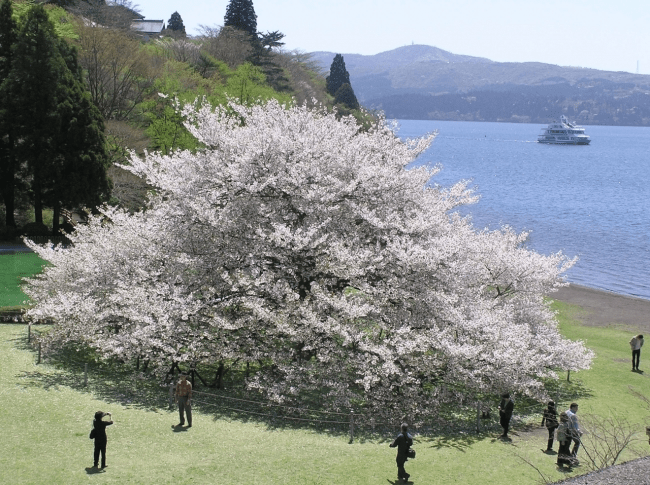 Lake Ashi, Hakone