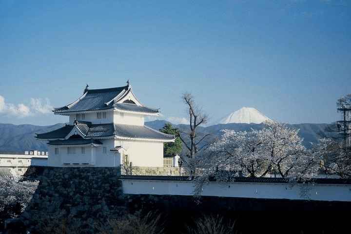 Maizuru Castle Park