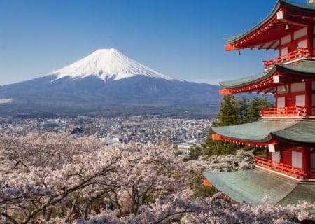 Mt. Fuji View and 2hours+ free time at Gotemba Premium Outlets!