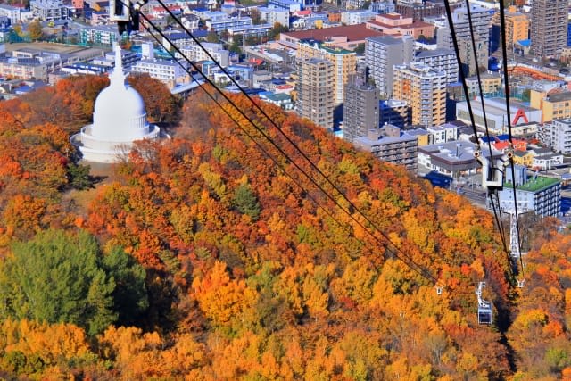 Mt. Moiwa