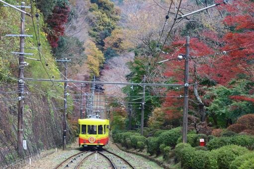 Mt. Takao