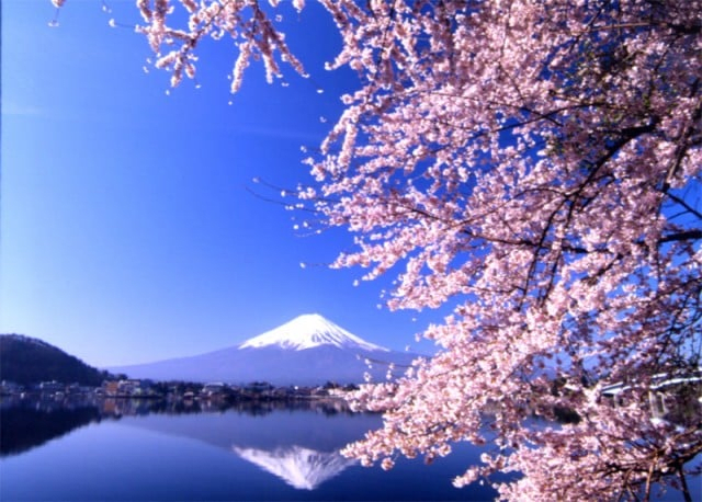 Lake Kawaguchi East Shore