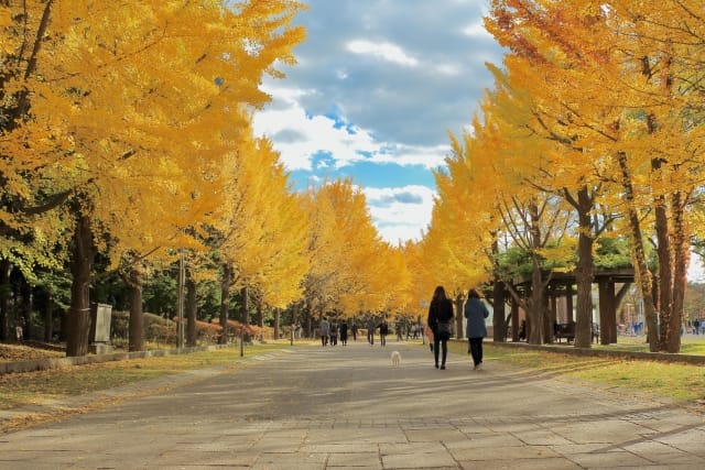 Nakajima Park