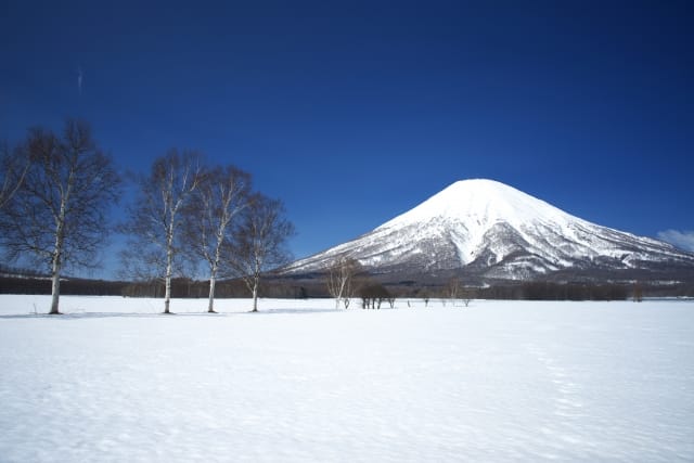 Niseko Tokyu Grand Hirafu