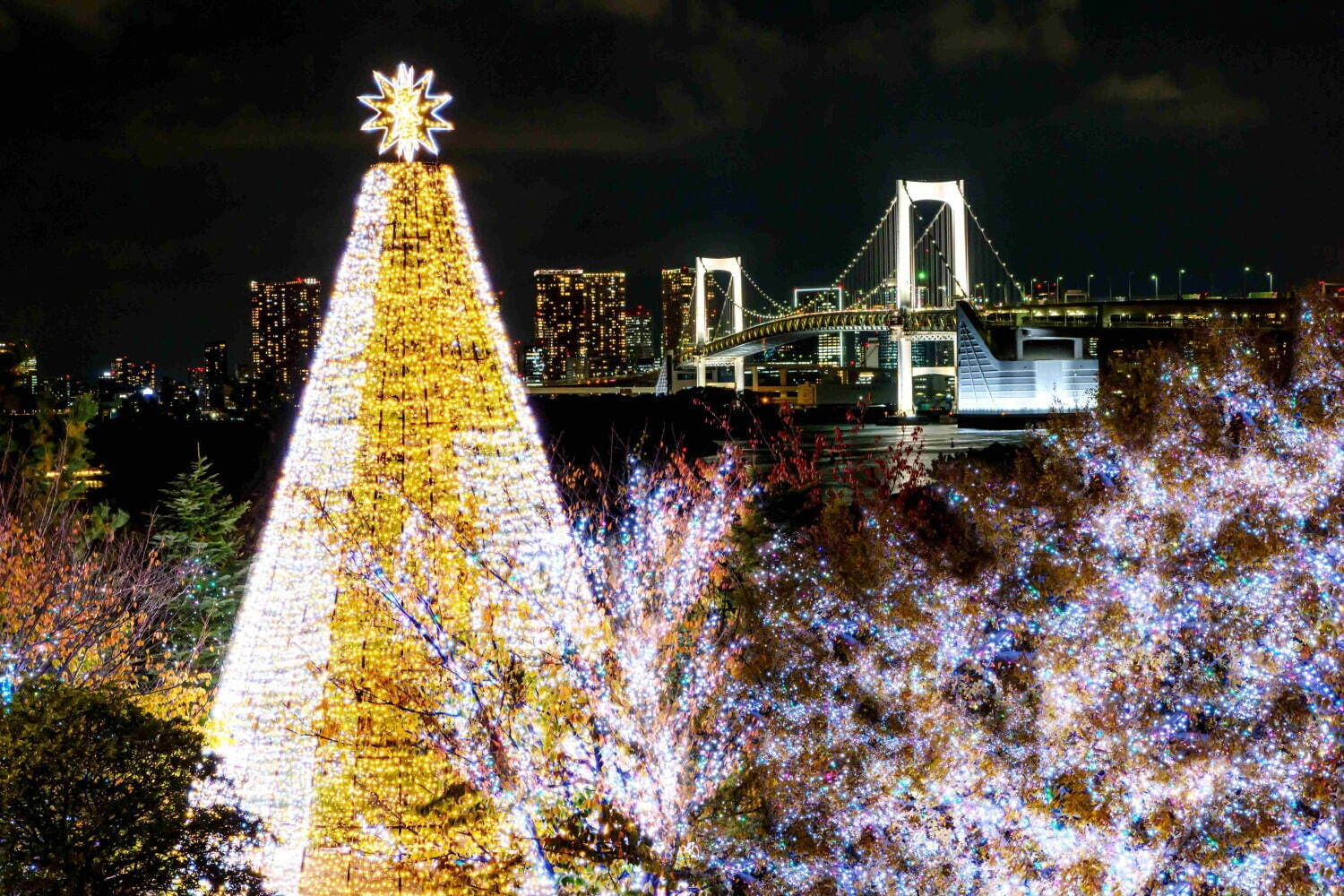 Odaiba Illumination "YAKEI"