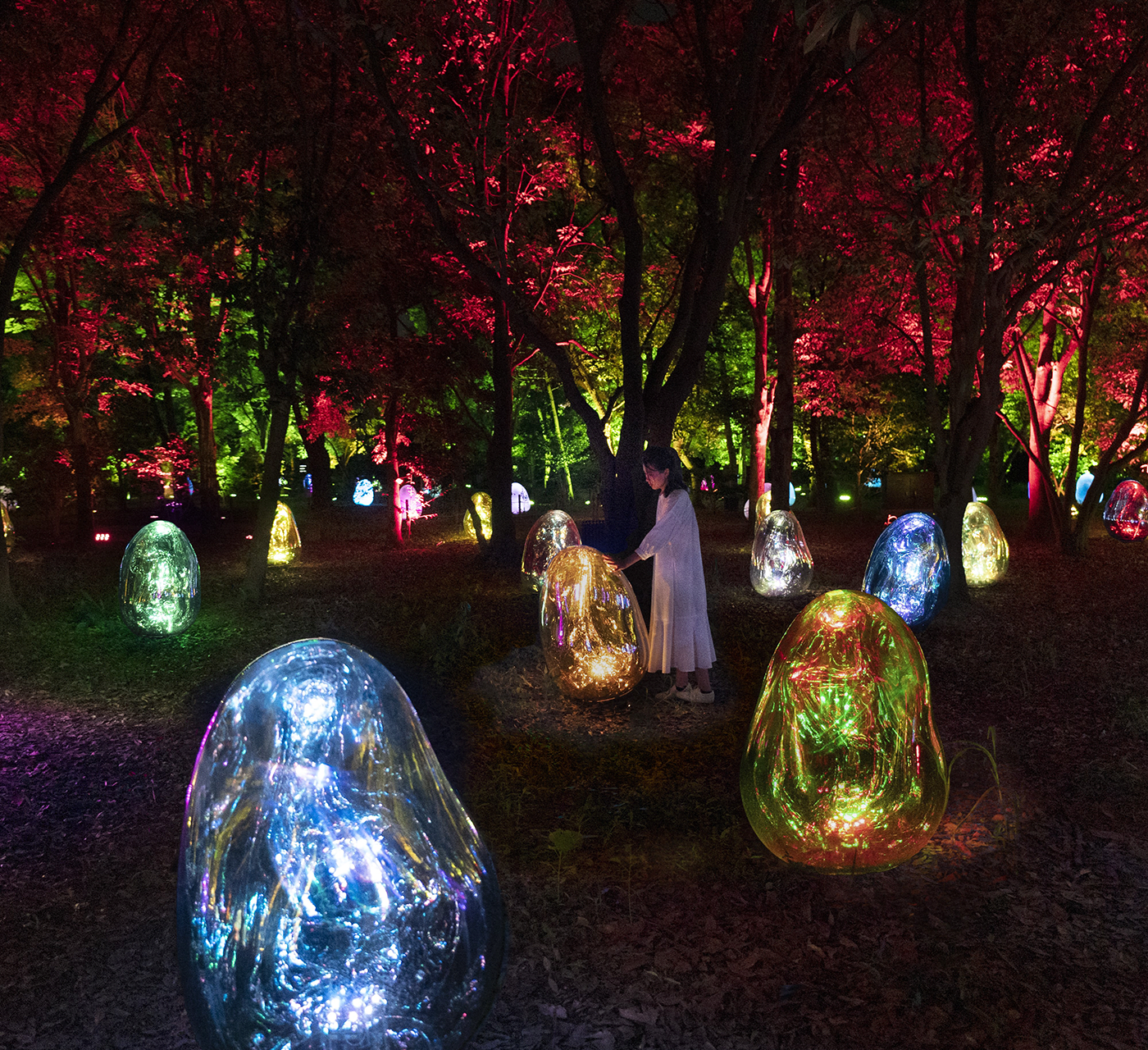 Nagai Botanical Garden (teamLab)