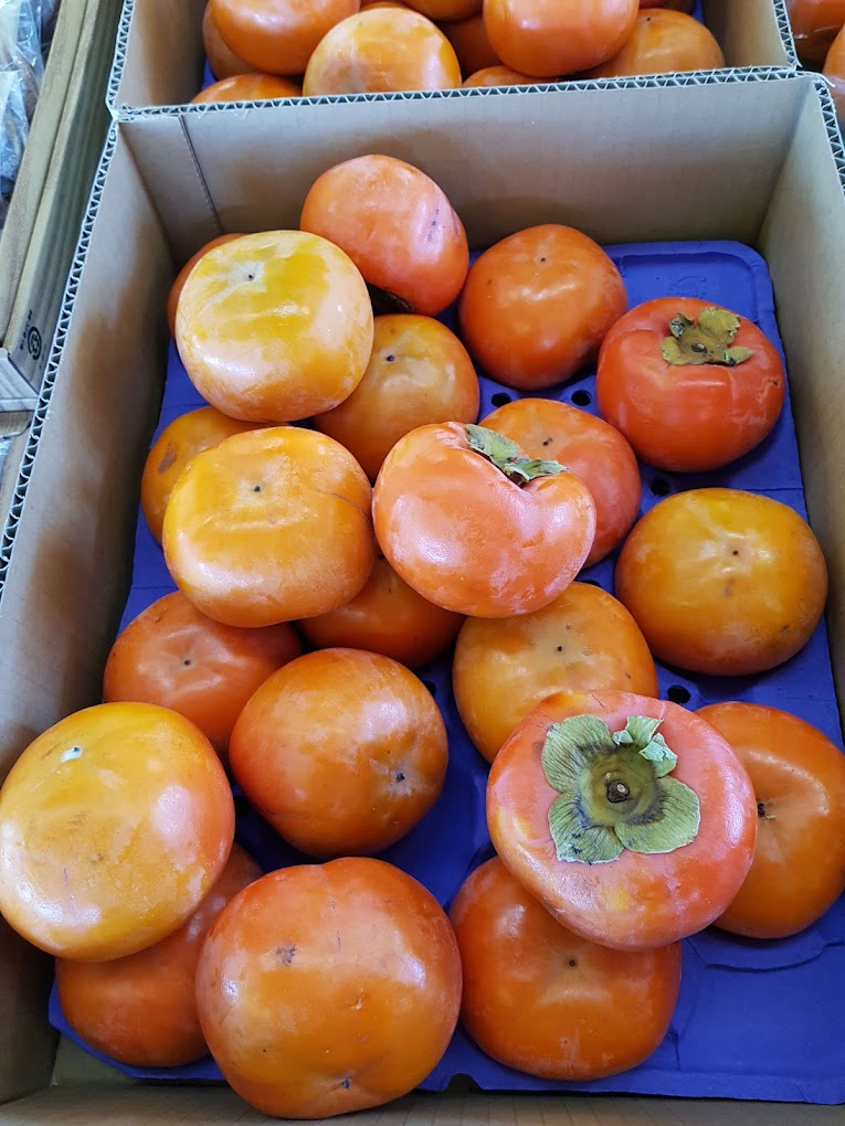 Persimmons