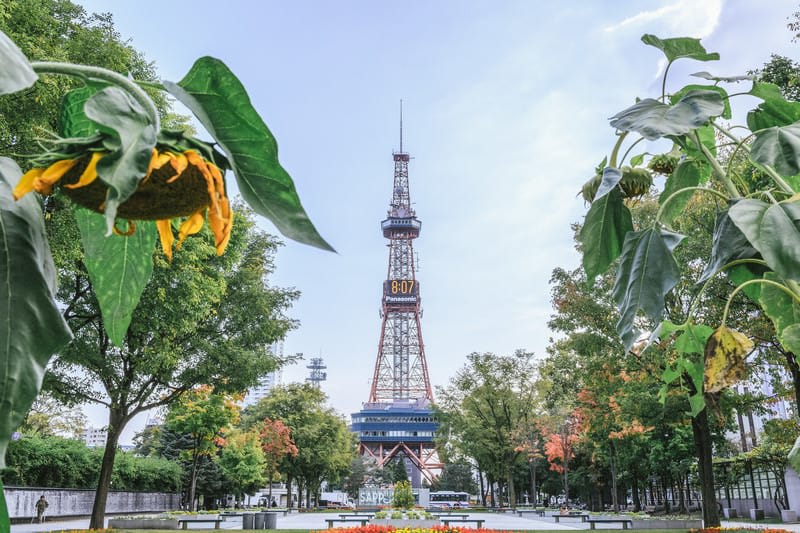 Sapporo TV Tower
