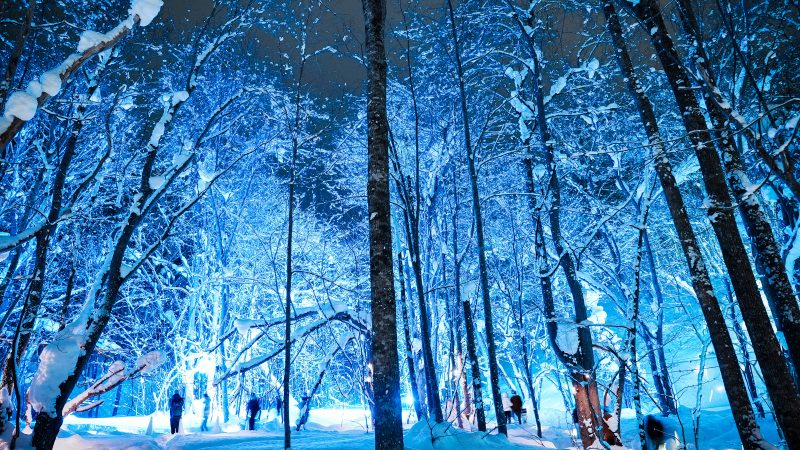 Yukitouro 2026 FINAL (Snow Candle Way)