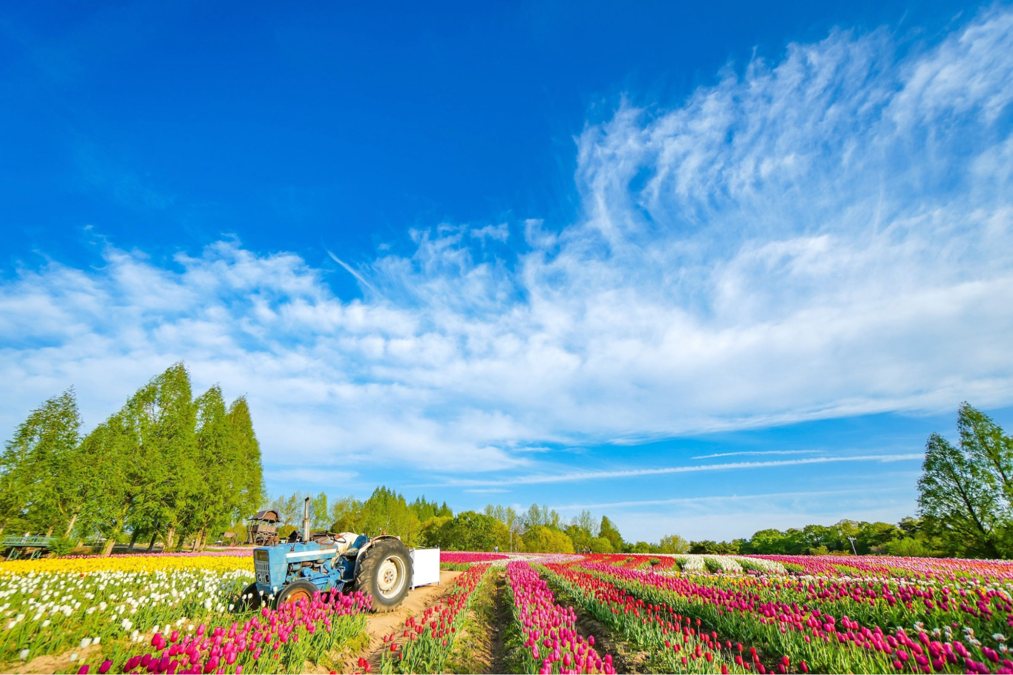 Sera Kogen Farm