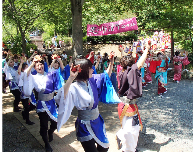 Shibakawa Biyori Plum Village Inako Festival