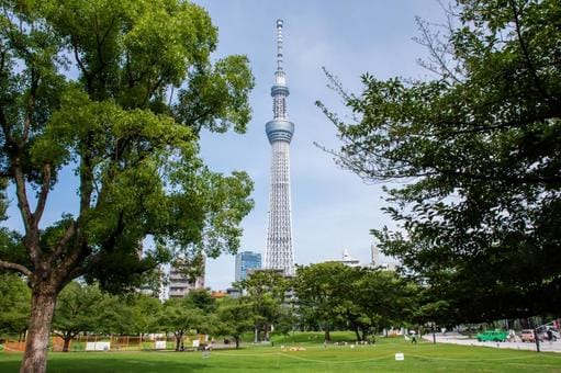 Sumida Park