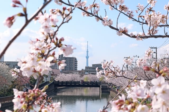 Sumida Park