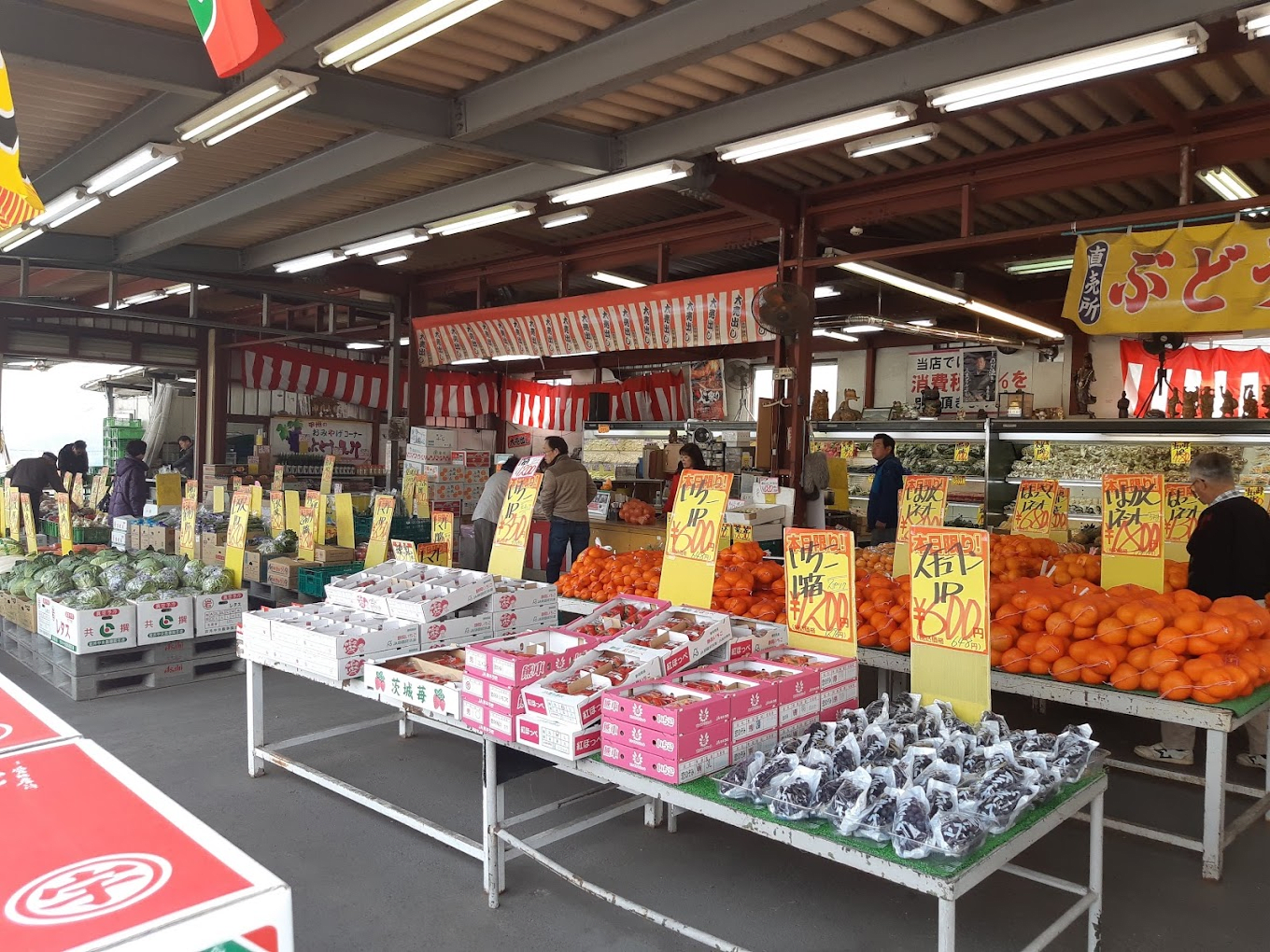 Surprisingly Affordable Fresh Vegetables and Fruits