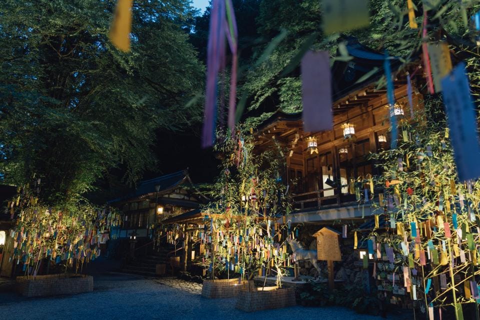 Tanabata Bamboo Decoration Illumination