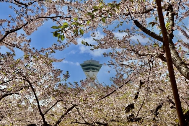 The Best Time to Visit Hakodate