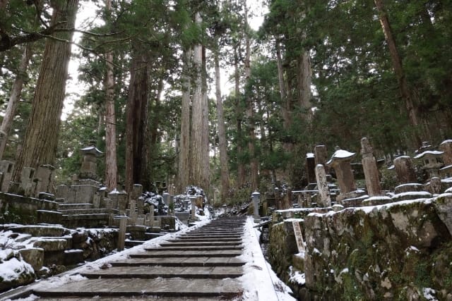 The Sacred Atmosphere Created by Cedar Groves