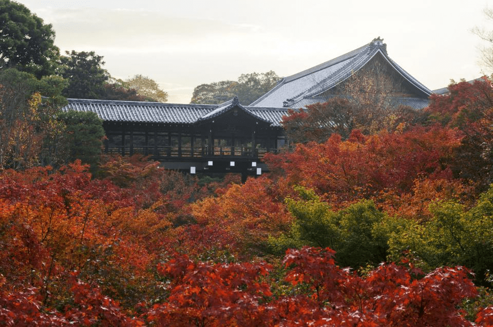 Tōfuku-ji Temple Special Autumn Viewing