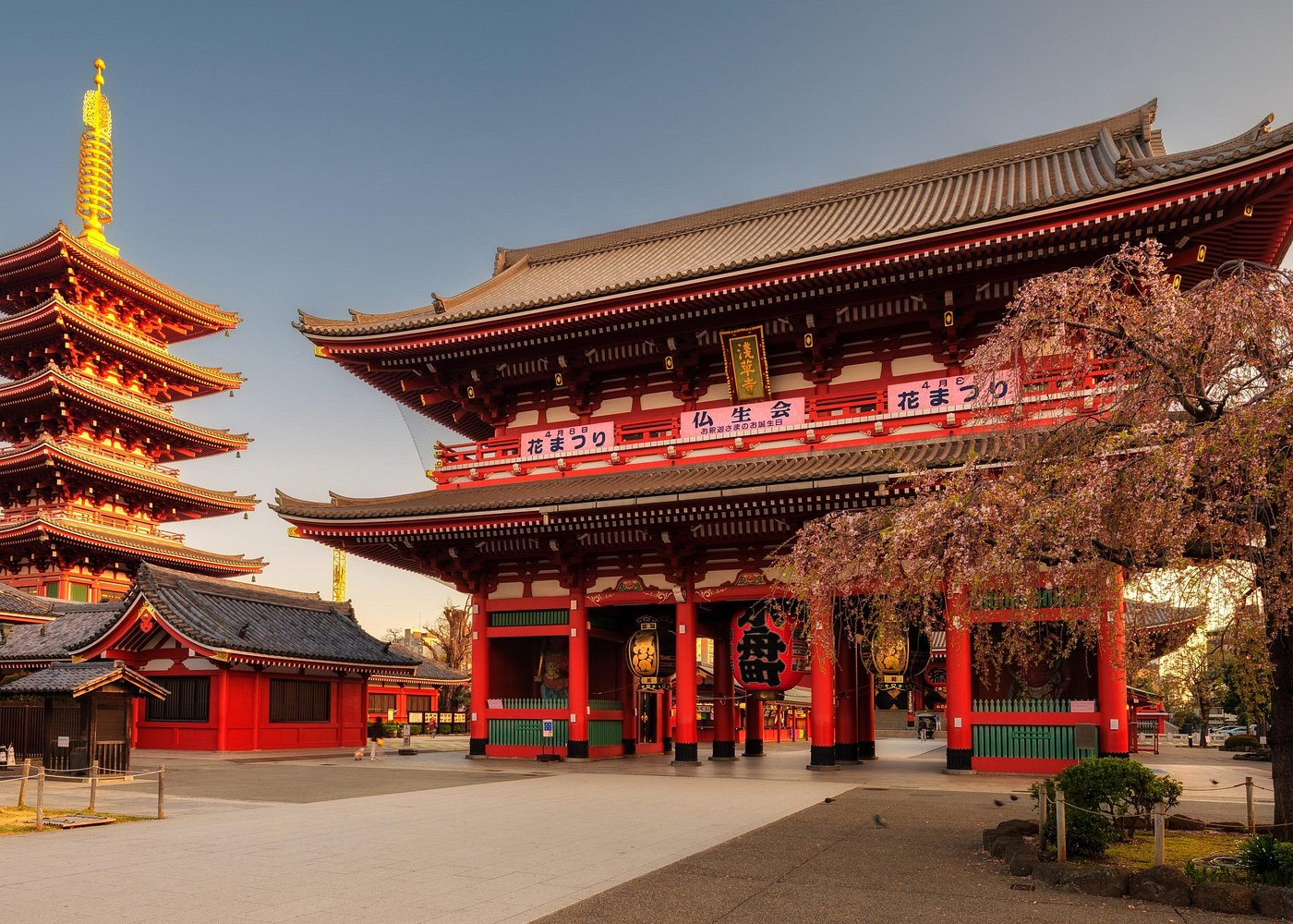 Tokyo Private Driving Tour by Car or Van with Chauffeur