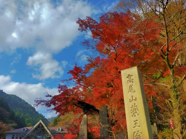Mt. Takao Autumn Foliage Festival