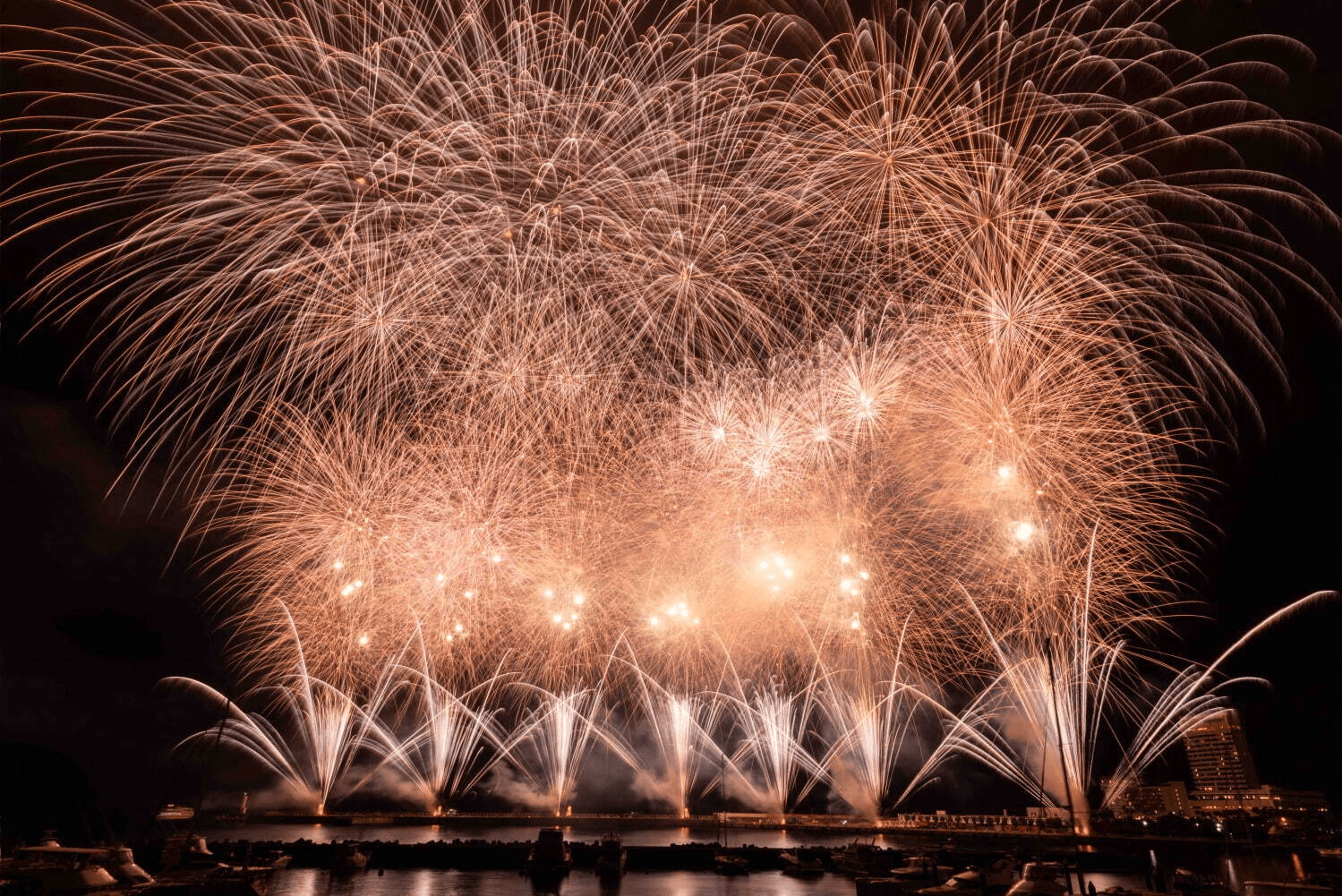 Tokyo Racecourse Fireworks