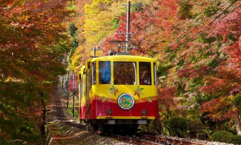 Mount Takao Autumn Leaves Festival