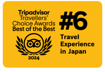 Tripadvisor no6