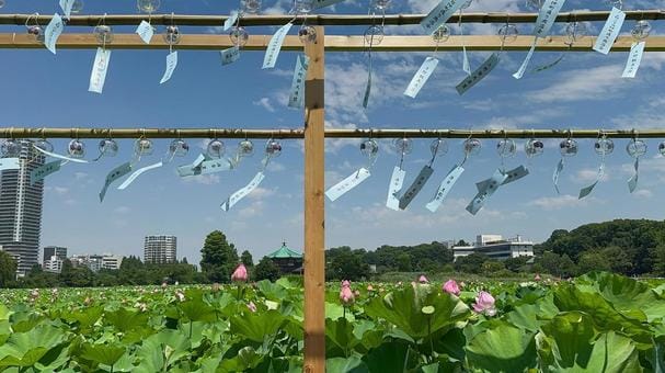 Ueno Park in Summer.jpeg