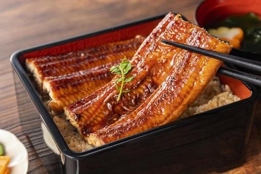 Unagi