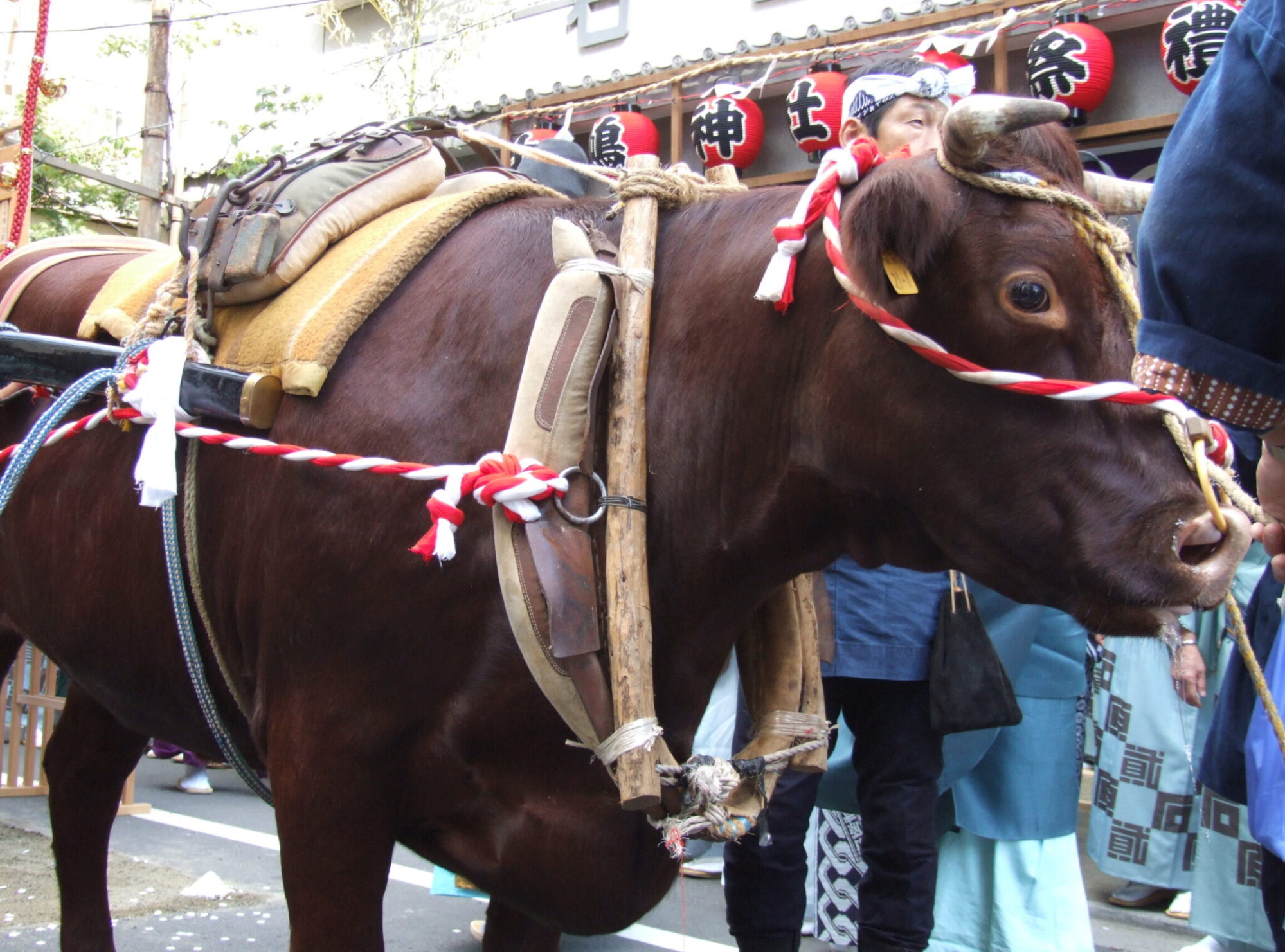 Ushijima Shrine Festival