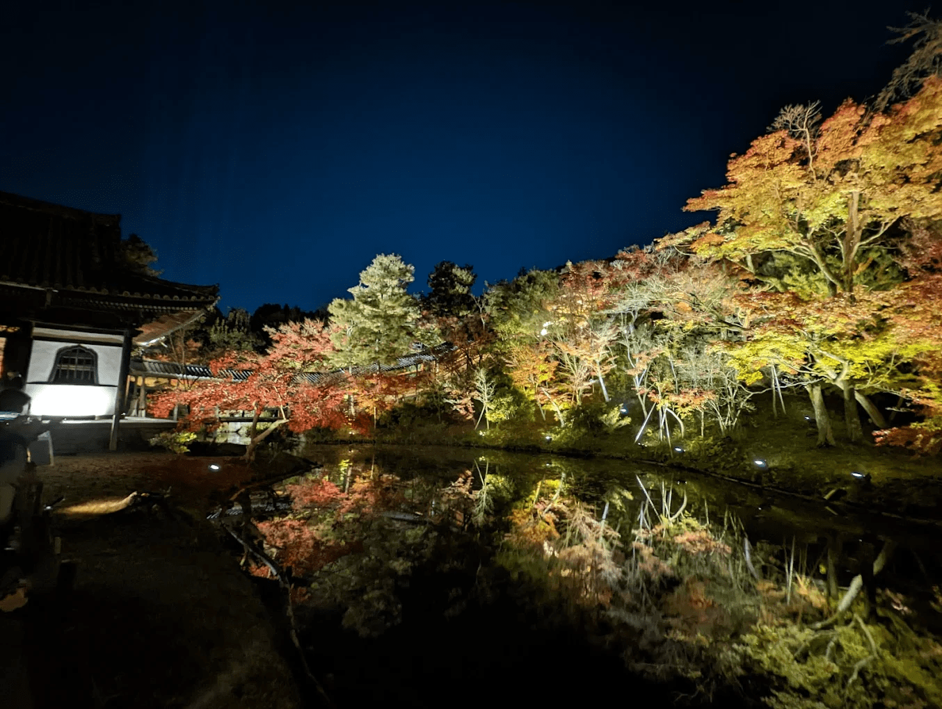 Vibrant Autumn Leaves to Enjoy at Kodai-ji Temple and More