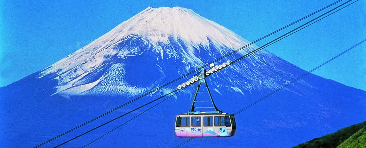 Views of Mt. Fuji